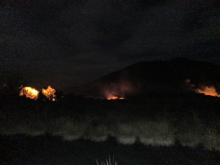 Ολονύχτια μάχη με τις φλόγες στη Θεσπρωτία – Στις φλόγες έκταση με καλαμιές 
