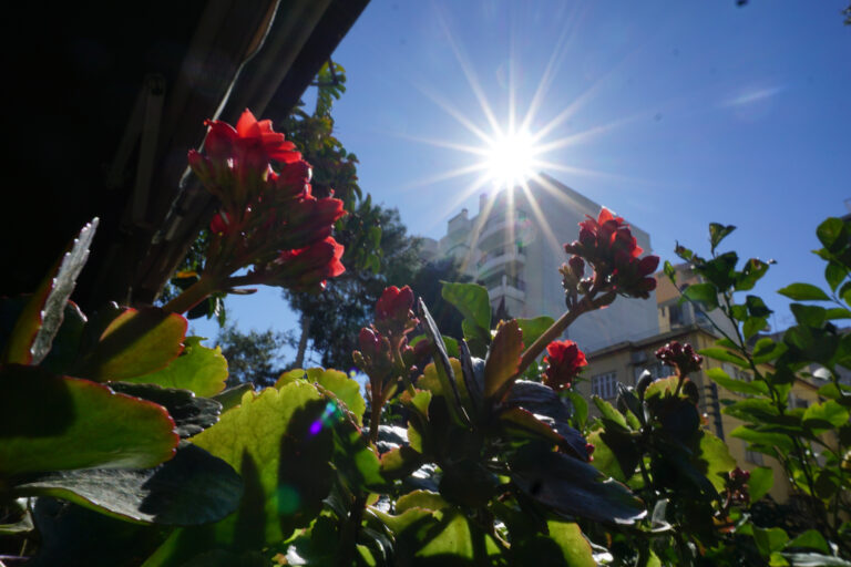 Καιρός: Με υψηλές θερμοκρασίες η Μεγάλη Εβδομάδα – Πρόγνωση από τη Ν. Ζιακοπούλου