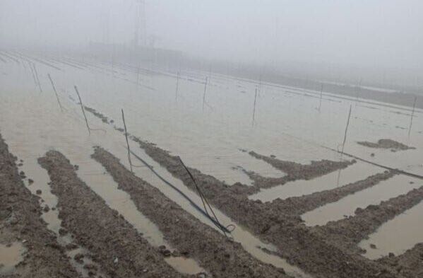 Κρήτη: Μεγάλες ζημιές στις καλλιέργειες από τη νεροποντή στο Λασίθι – Σε εξέλιξη η αποτίμηση από τον ΕΛΓΑ