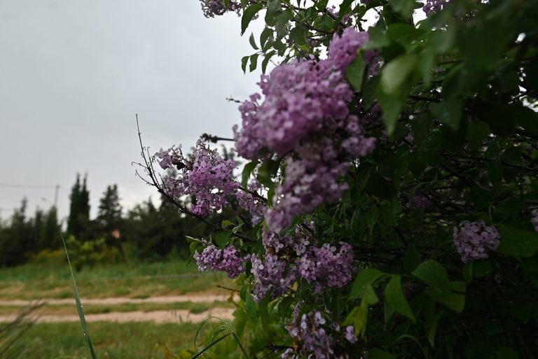 Καιρός: Έντονη η αστάθεια Παρασκευή και Σάββατο – Πρόγνωση από τη Ν. Ζιακοπούλου