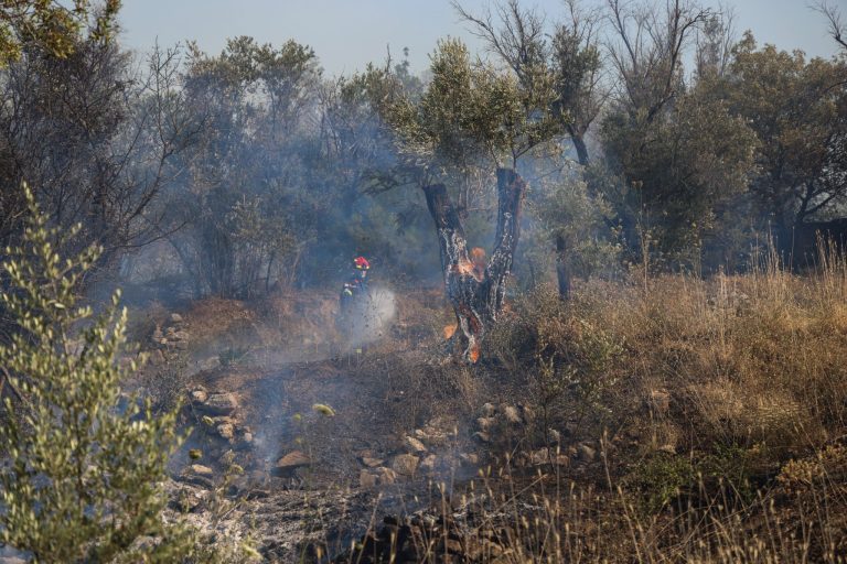 Πύρινος εφιάλτης στην Χίο: Τα βασικά μέτωπα της φωτιάς – Μήνυμα αισιοδοξίας από τον πρόεδρο μαστιχοπαραγωγών