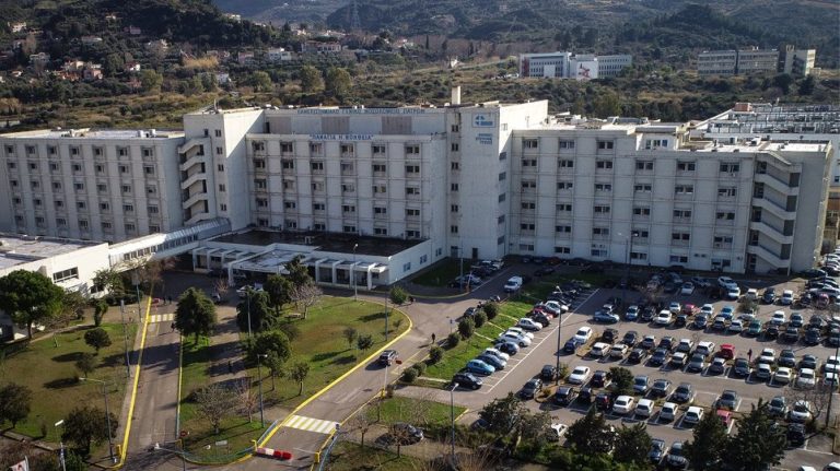 Σε Ελλάδα, Ιταλία και Γερμανία τα όργανα του 12χρονου Λεώνη που χάθηκε στον Άραχθο