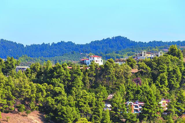 Πώς η κυβέρνηση αλλάζει το δόγμα «για πάντα δάσος»