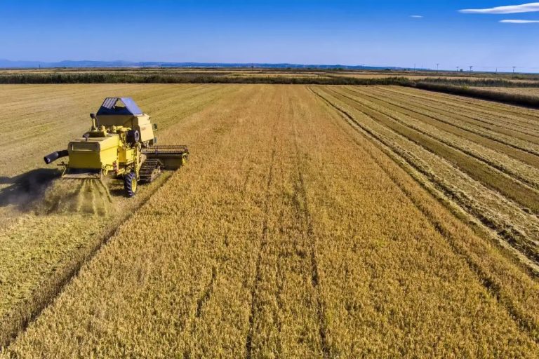 ΕΛΓΟ – ΔΗΜΗΤΡΑ: Αύξηση των ελέγχων και ενίσχυση της εποπτείας την τετραετία 2021 – 2024