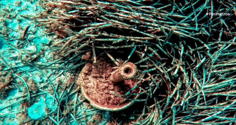 Κέρκυρα- Ο βυθός κρύβει μια χαβούζα