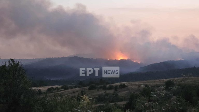 Μαίνονται οι πυρκαγιές σε Καστοριά και Ευρυτανία, δεν απειλούνται κατοικημένες περιοχές – Χωρίς ενεργό μέτωπο οι φωτιές σε Θεσπρωτία και Κιλκίς