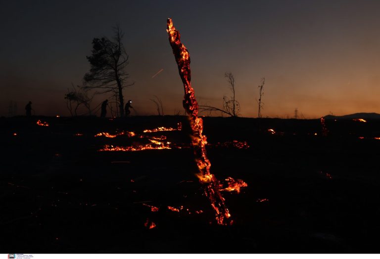 Φωτιά στη Δροσοπηγή Αττικής: Οι δύο δραματικές ώρες και η μάχη να σωθεί η Πάρνηθα από τον αφανισμό