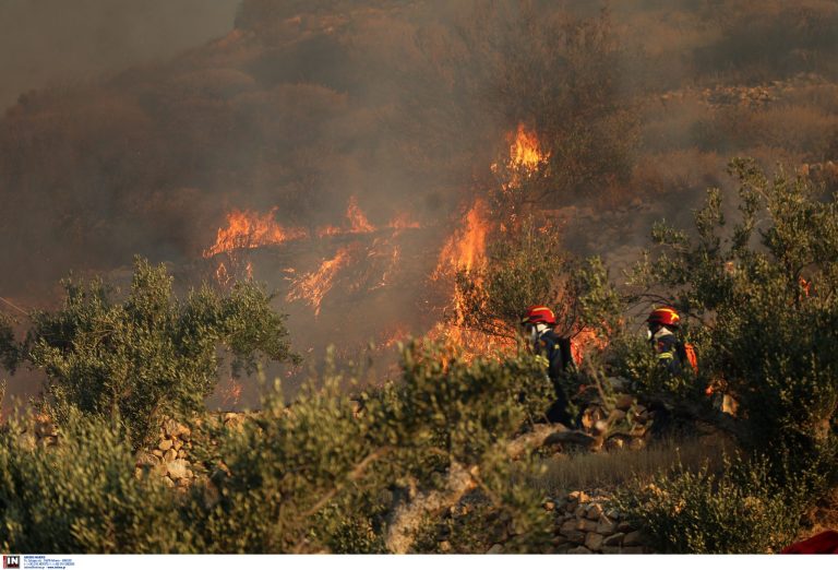 Φωτιά τώρα στην Καστορία, στην περιοχή Αλεβίτσα