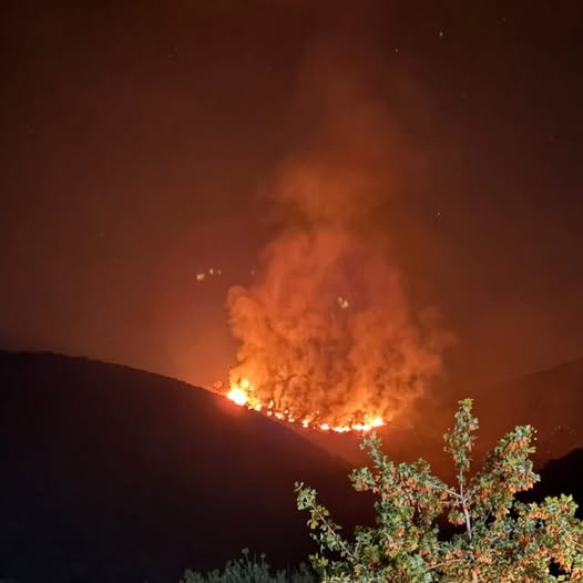 Φωτιά στη Μεσσηνία
