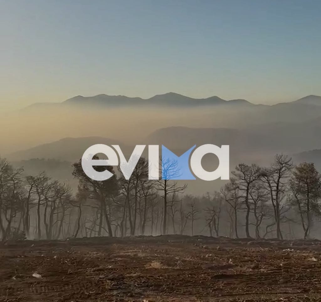 Φωτιά στην Εύβοια
