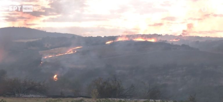 Φωτιές τώρα: Πολλές και μικρές εστίες στην Άσσηρο Θεσσαλονίκης, συνεχείς αναζωπυρώσεις – Βελτιωμένη η εικόνα στη Δεσκάτη Γρεβενών