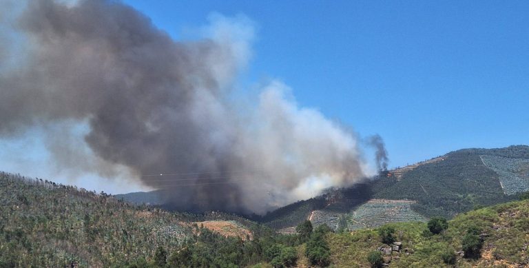 Πορτογαλία: Η χώρα αντιμέτωπη με πολλές δασικές πυρκαγιές – Φωτογραφίες