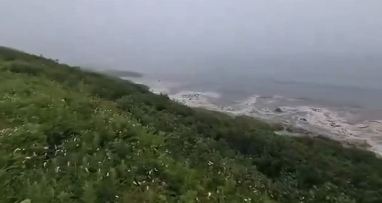 Ιαπωνία: Έφθασε το πρώτο τσουνάμι, ύψους περίπου 30 εκατοστών 