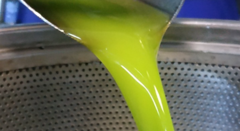  DMB: Το πολύτιμο συστατικό στο ελαιόλαδο που εντόπισαν Έλληνες και Τούρκοι επιστήμονες