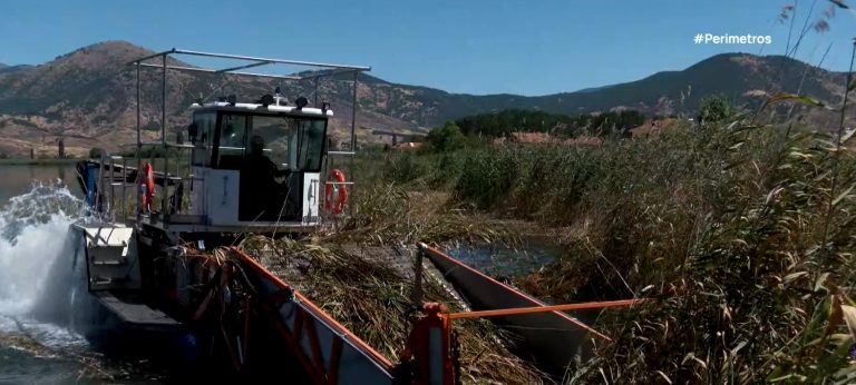 Καστοριά: Στη “μάχη” με τα καλάμια της λίμνης και ειδικό πολυμηχάνημα