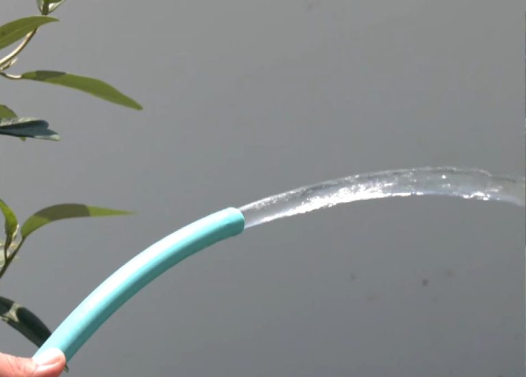 Χαλκιδική: Διακοπή υδροδότησης κάθε βράδυ στη Μόλα Καλύβα – Αγανακτισμένοι κάτοικοι και επαγγελματίες