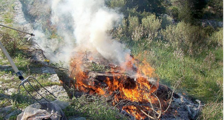 Θεσσαλονίκη: “Τσουχτερό” πρόστιμο σε εικοσάχρονο που έκαψε ξερά χόρτα στη Θέρμη