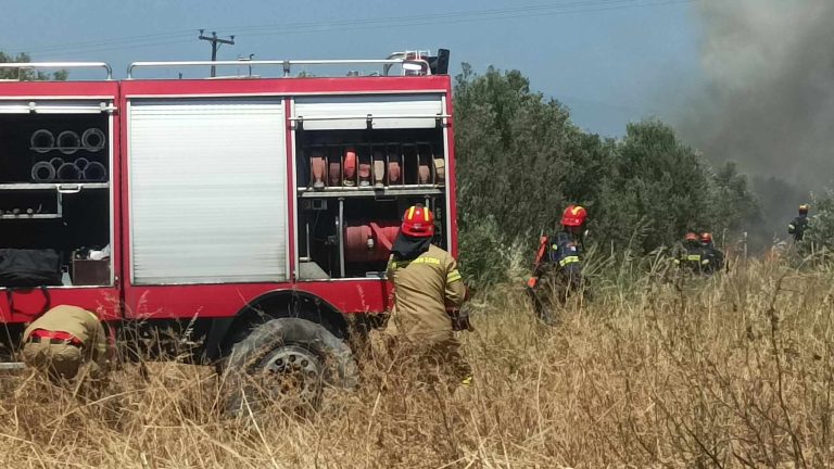 Βόλος: Φωτιά σε δασική περιοχή μεταξύ Κερασιάς και Σουβιάς – Tέθηκε σε μερικό έλεγχο