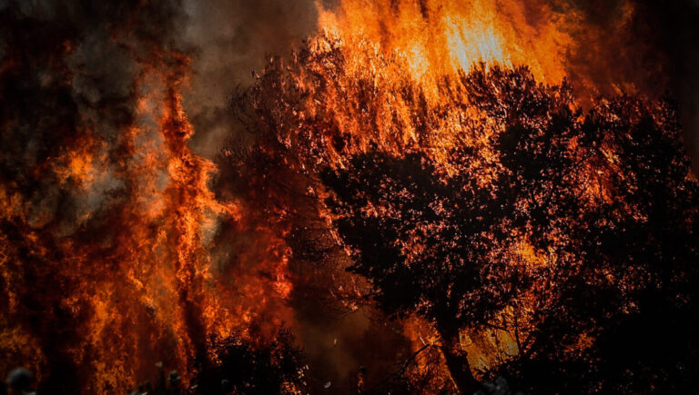 Πολύ υψηλός κίνδυνος εκδήλωσης πυρκαγιάς σήμερα σε 10 Περιφέρειες της Χώρας (Χάρτης)