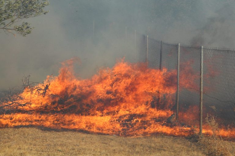 Τσανάκαλε: Πάνω από 2.000 κάτοικοι εγκαταλείπουν τα σπίτια τους λόγω πυρκαγιάς