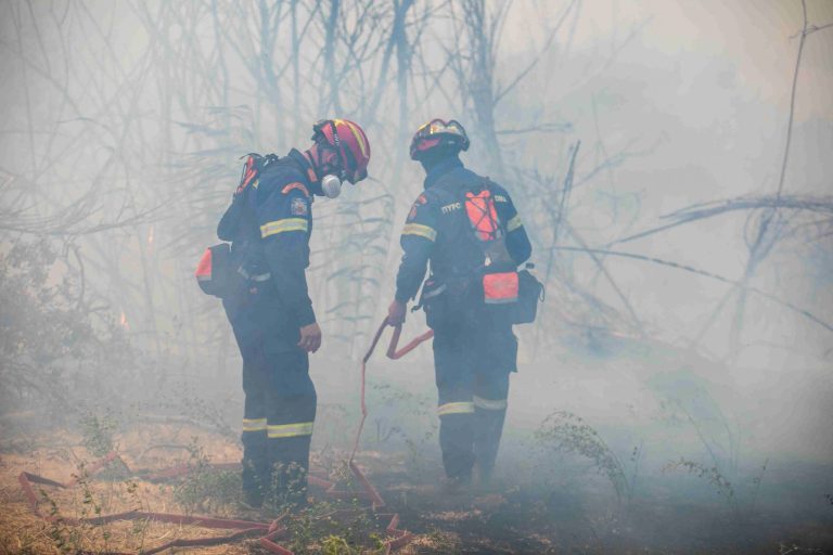Δύο συλλήψεις στη Νάξο για φωτιά σε σκουπίδια – 42 πυρκαγιές σε όλη τη χώρα σε 24 ώρες
