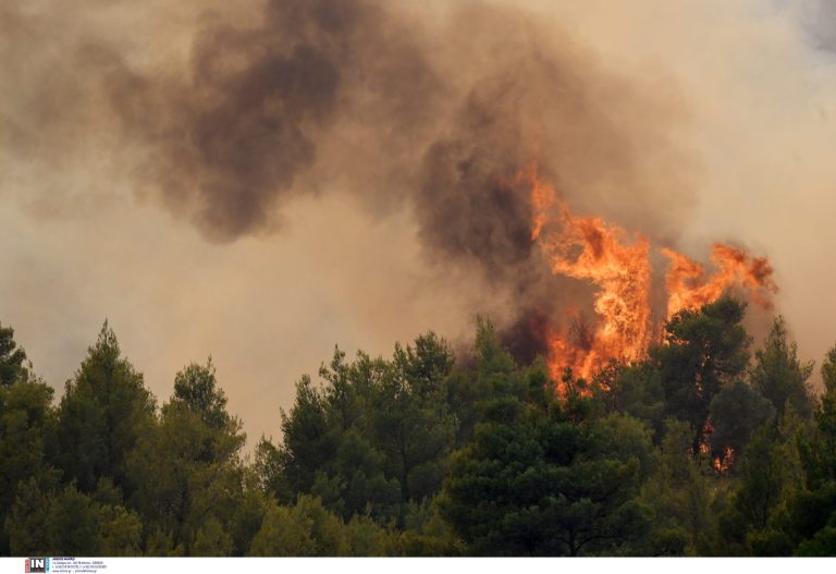 Οδηγός υγείας μετά από πυρκαγιά: Τα 4 σημαντικά βήματα