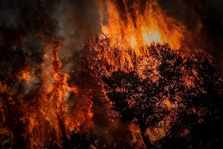 Πυροπροστασία στην Ύπαιθρο: Τήρηση Κανόνων, Αυστηρές Κυρώσεις, Μηδενική Ανοχή