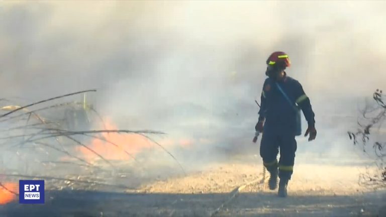 Τι κάνει έναν άνθρωπο ήρωα- Η ψυχολογία του ηρωισμού