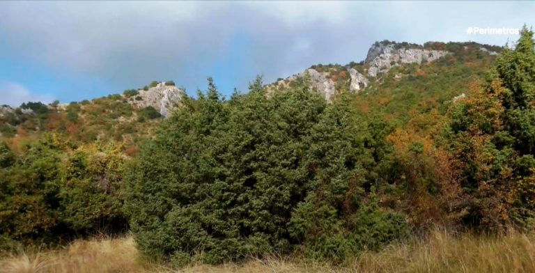 Καστοριά: Ξεκίνησαν οι προετοιμασίες για την 8η Πανελλήνια συνάντηση μονοπατιών