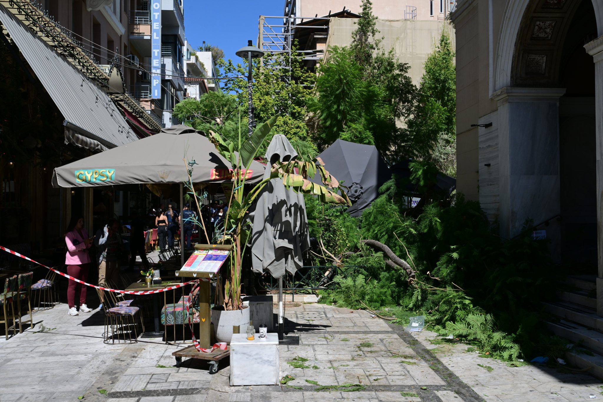 Πεσμένο δέντρο σε πεζοδρόμιο