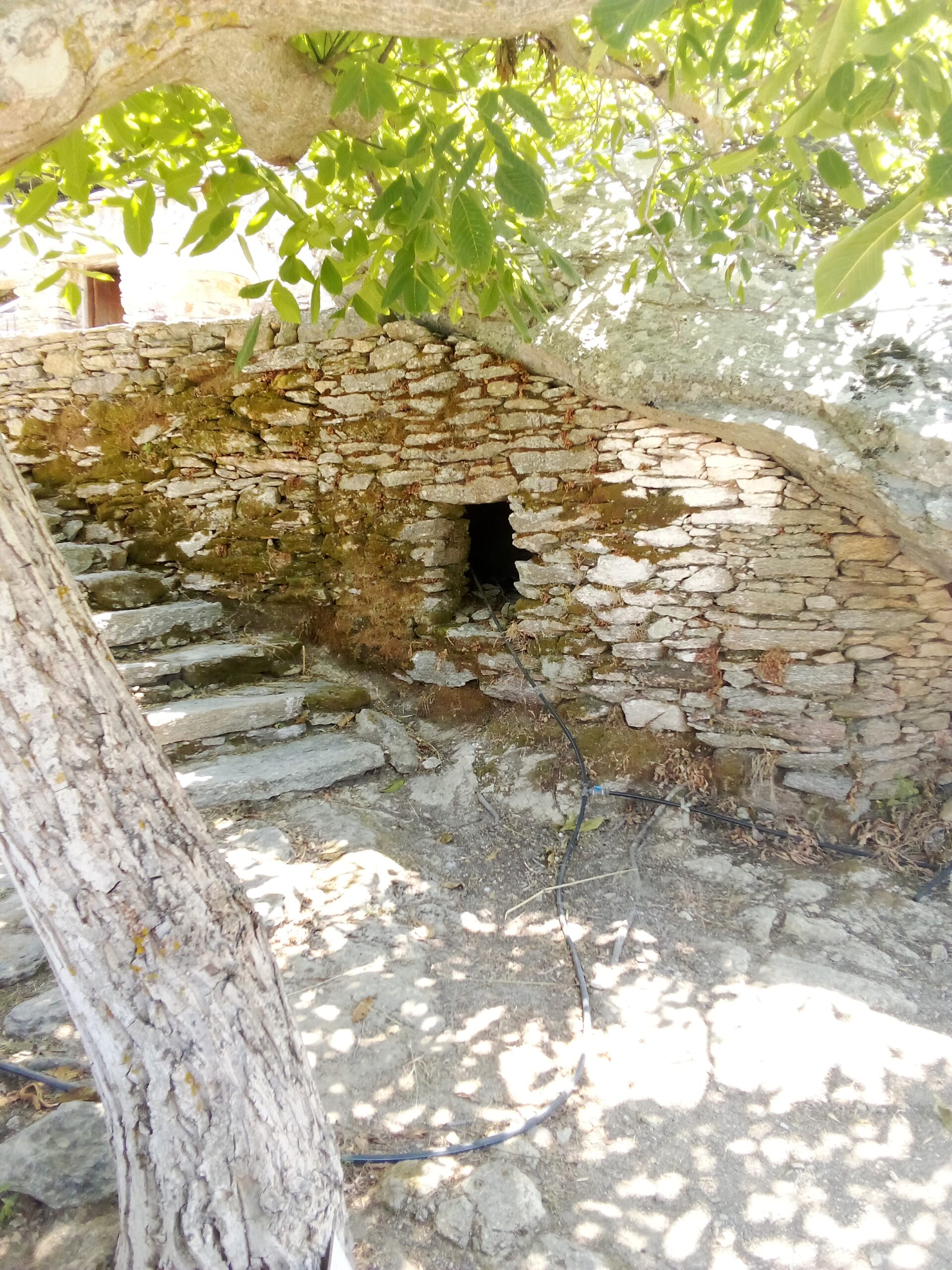 img-20250727-113730