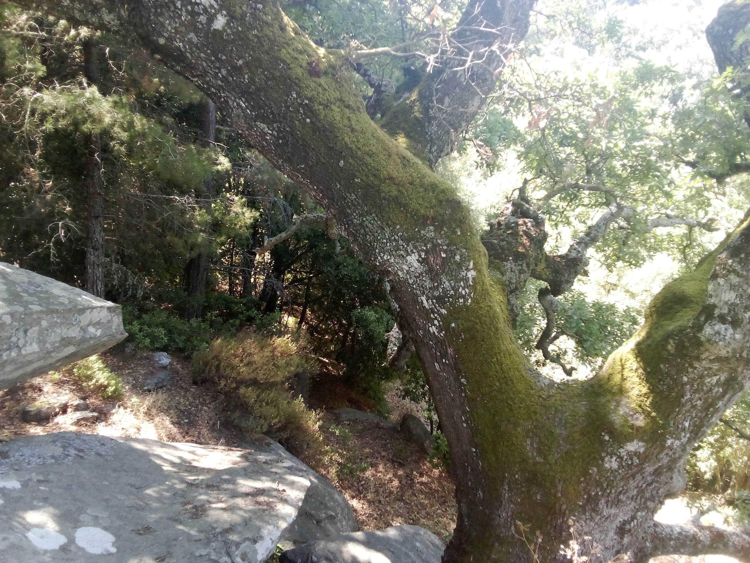 img-20250727-114035