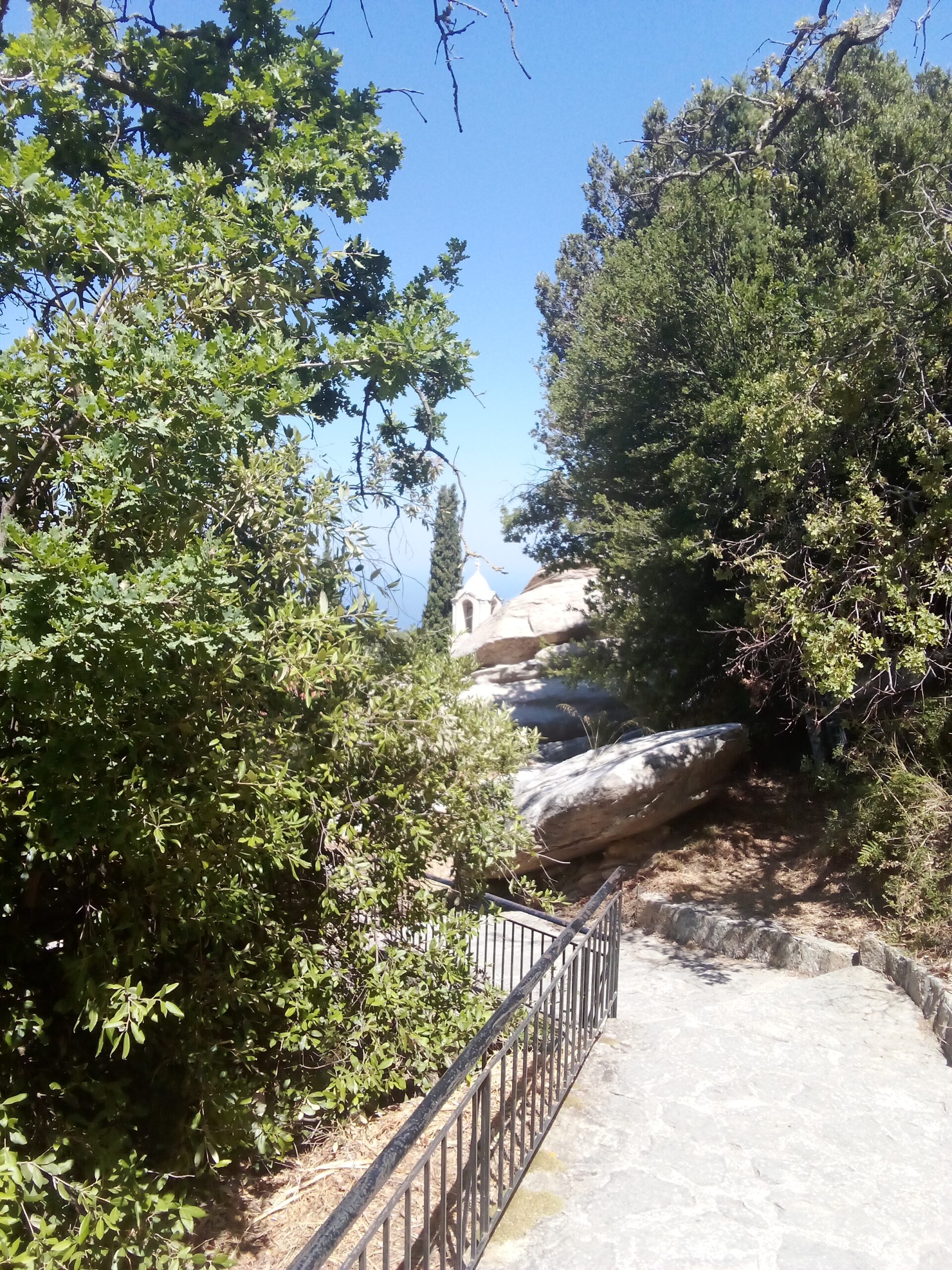img-20250727-114203