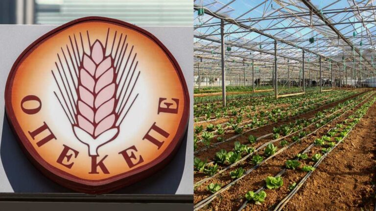 Στα ύψη η πολιτική αντιπαράθεση για τον ΟΠΕΚΕΠΕ: Δεσμεύσεις περιουσιών 22,7 εκατ. ευρώ – Για «δυσώδη υπόθεση» κάνει λόγο η αντιπολίτευση