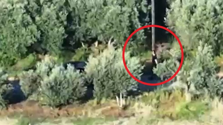 Βίντεο ντοκουμέντα από τη δράση της εγκληματικής οργάνωσης στα Χανιά – Πώς έφθασε στην εξάρθρωσή της η ΕΛ.ΑΣ.