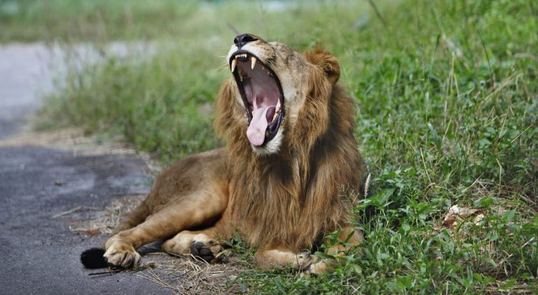 Αυτοπροστασία: Η πρώτη μας άμυνα στη ζωή