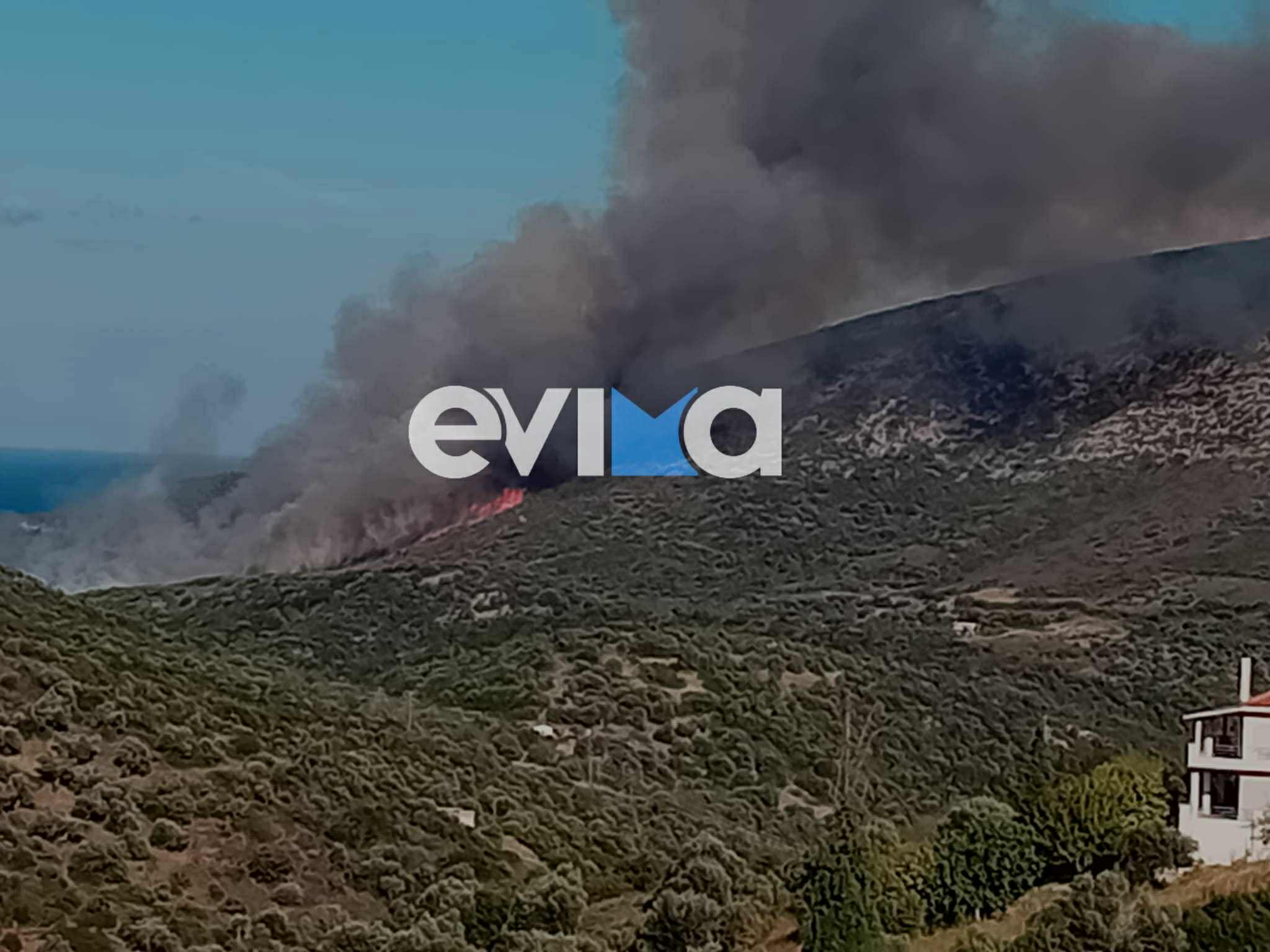 φωτιά