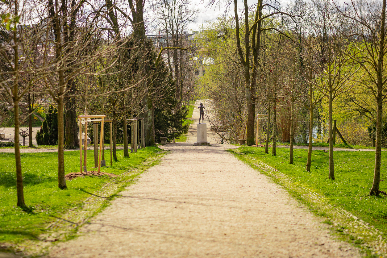 A gravel path in Tivoli Park, Ljubljana, lined with bare trees and green grass, leads to a statue on a pedestal, with a historic building and more greenery in the background, capturing a serene, natural setting