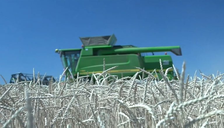 Πώς δρούσε το κύκλωμα με τις παράνομες επιδοτήσεις από τον ΟΠΕΚΕΠΕ – Η ιεραρχία της οργάνωσης και τα «ακτημονικά» αγροτεμάχια