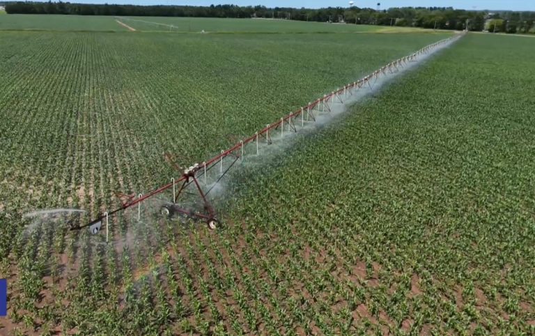 ΟΠΕΚΕΠΕ: Μαρτυρίες θυμάτων της εγκληματικής οργάνωσης