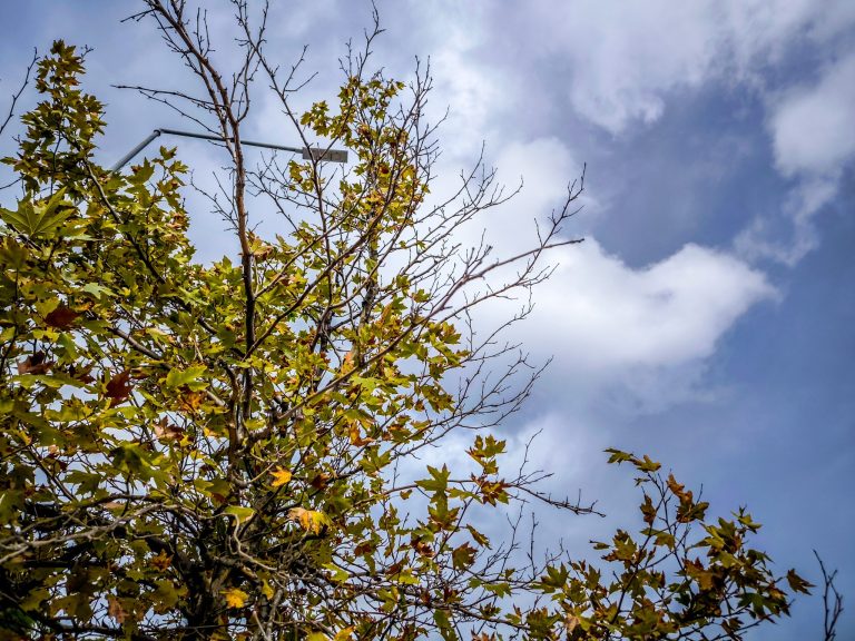 Καιρός: Αίθριος με λίγες τοπικές βροχές και πτώση θερμοκρασίας