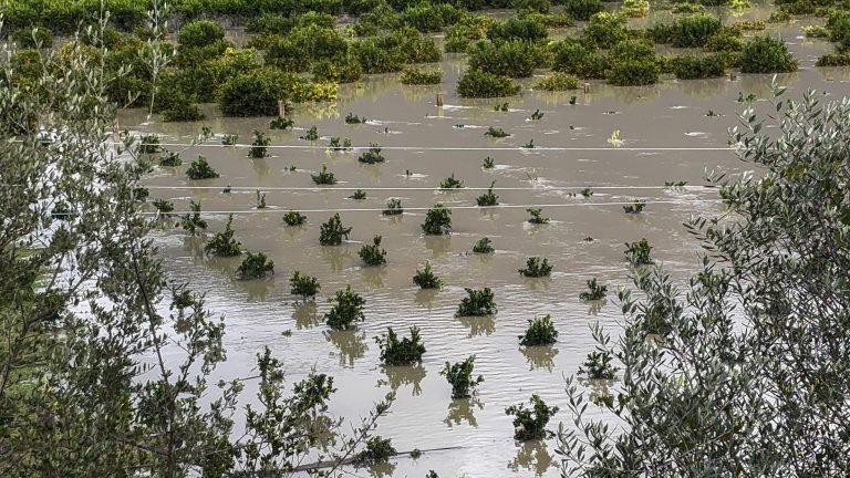 Κακοκαιρία: Εκτεταμένα προβλήματα στην Δυτική Ελλάδα – Ήχησε το «112» στα Ιωάννινα για έντονα φαινόμενα και κίνδυνο κατολισθήσεων