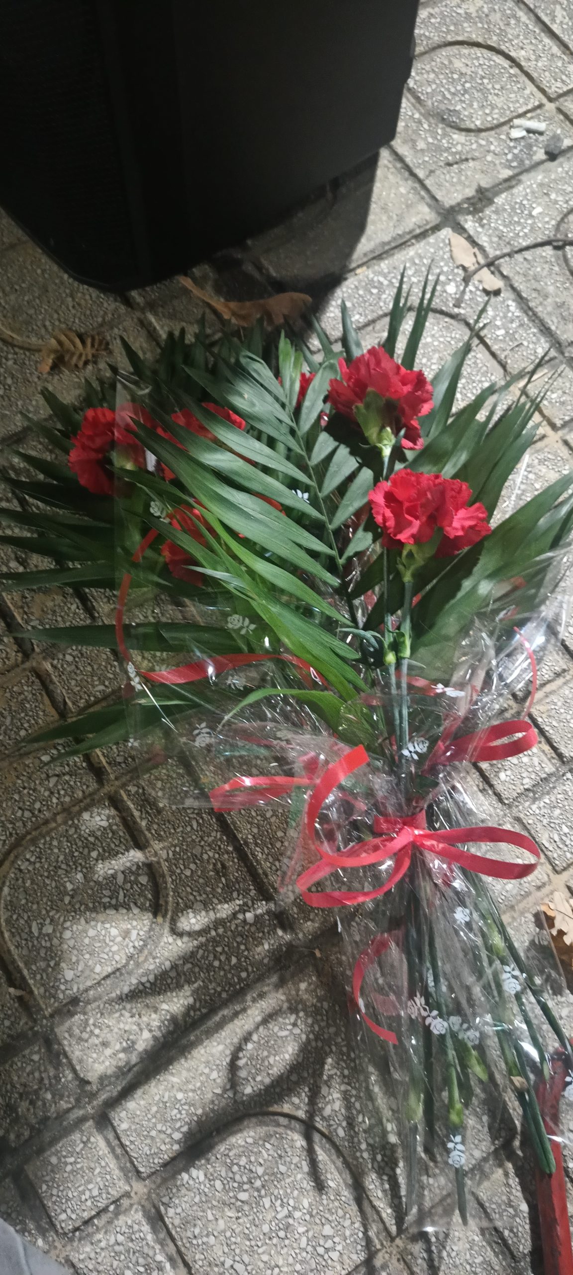 img-20251117-175402047