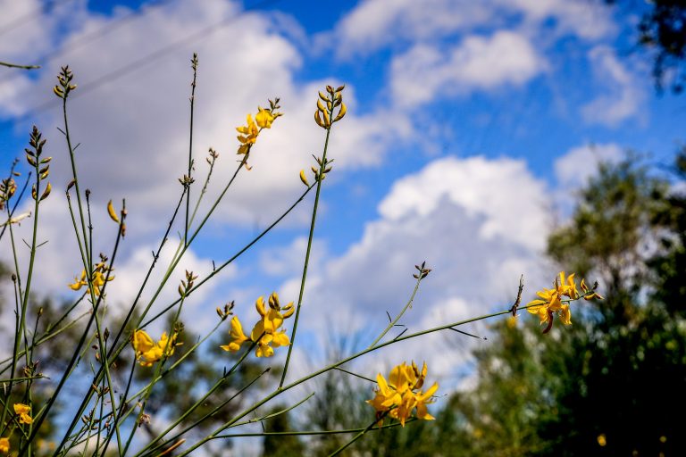 Μετά την… άνοιξη, έρχονται βροχές: Πότε αλλάζει ξανά ο καιρός και τι θα συμβεί με την «ψυχρή εισβολή»