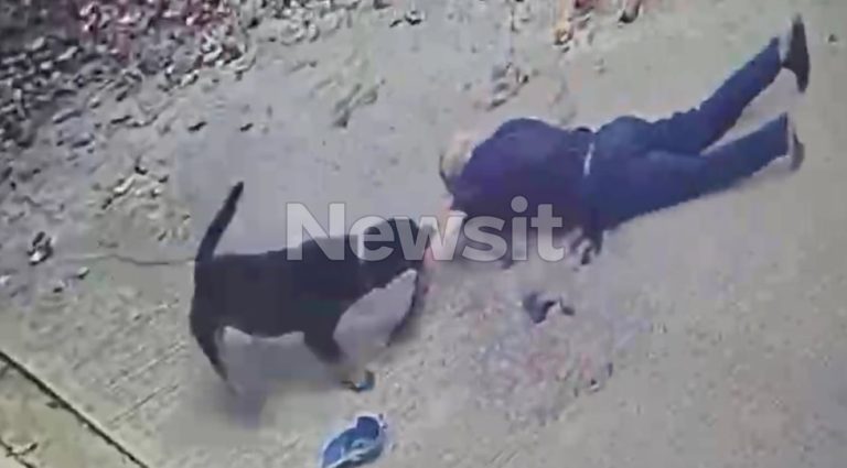 Καλαμάτα: «Πήγε να του βάλει φάρμακο  στα αυτιά και τότε τον άρπαξε» λέει ο γιος του 76χρονου για την επίθεση του ροτβάιλερ