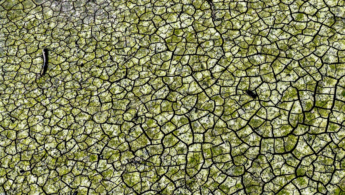 Λίμνη Μόρνου