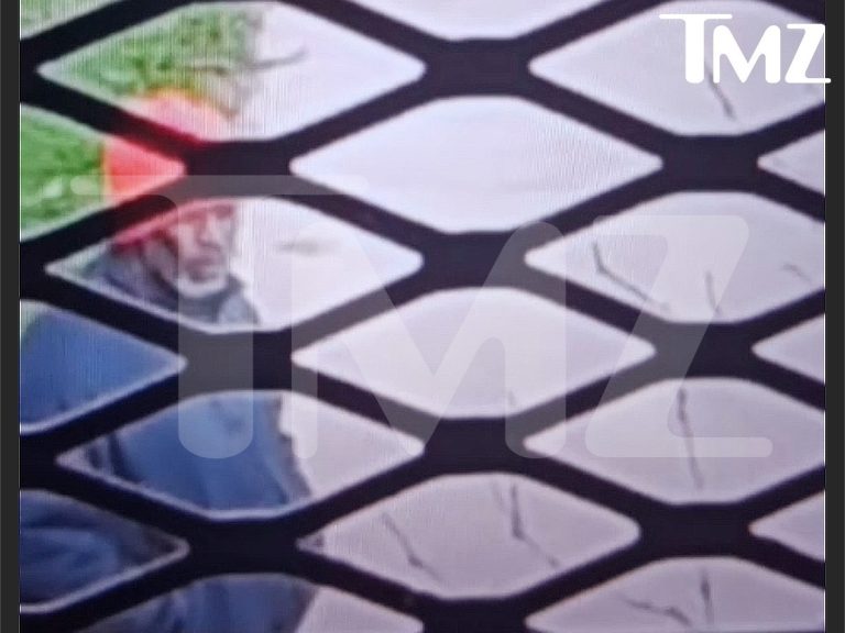 Η πρώτη φωτογραφία του Diddy στη φυλακή του Νιου Τζέρσεϊ – Αγνώριστος με γκρίζα γένια 