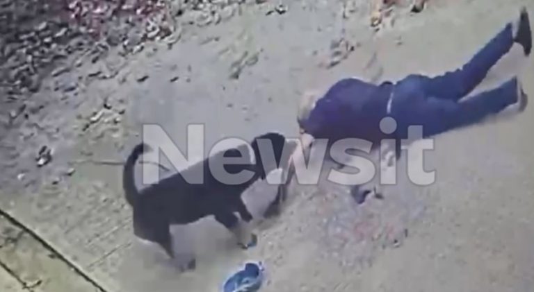 Καλαμάτα: Καρέ καρέ η στιγμή που το ροτβάιλερ αρπάζει τον 76χρονο – Δίνει μάχη για τη ζωή του, βίντεο από τον αιματοβαμμένο χώρο