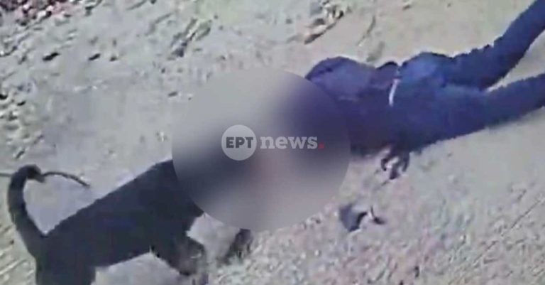 Μάχη για τη ζωή του δίνει ο 76χρονος που του επιτέθηκε ροτβάιλερ