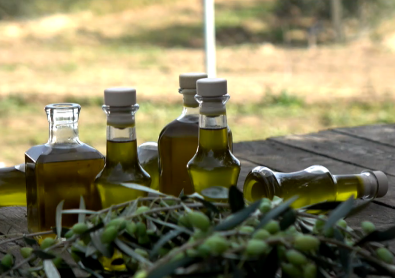 Η Ζάκυνθος ένας από τους μεγαλύτερους παραγωγούς ελαιολάδου στην Ελλάδα